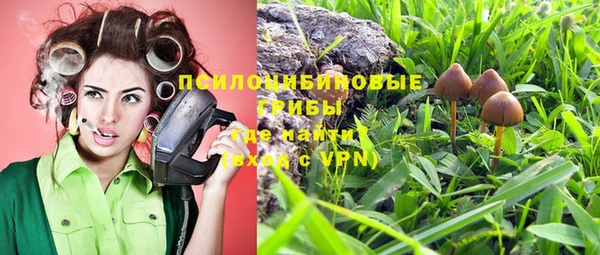прущий лед Алексеевка