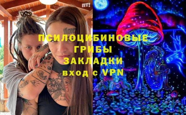 ПСИЛОЦИБИНОВЫЕ ГРИБЫ Алзамай