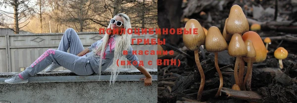 ПСИЛОЦИБИНОВЫЕ ГРИБЫ Алзамай