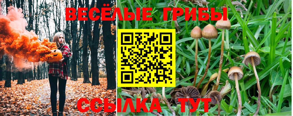 Галлюциногенные грибы мухоморы  Галлюциногенные грибы Cubensis  Чебоксары  Вход с VPN 